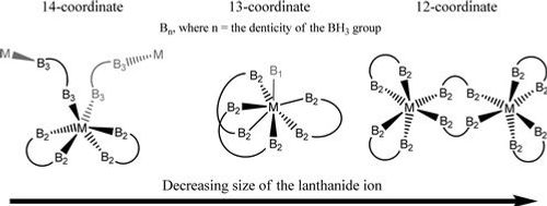 Lanthanide dialkylaminoboranates - coordination number versus lanthanide atom size 