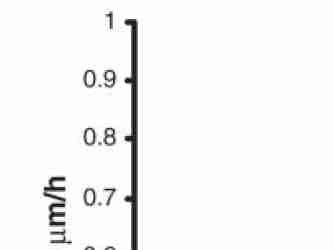 Comparison of growth rates of TiO2  by low pressure (20 mbar) liquid injection MOCVD using several Ti alkoxide precursors 